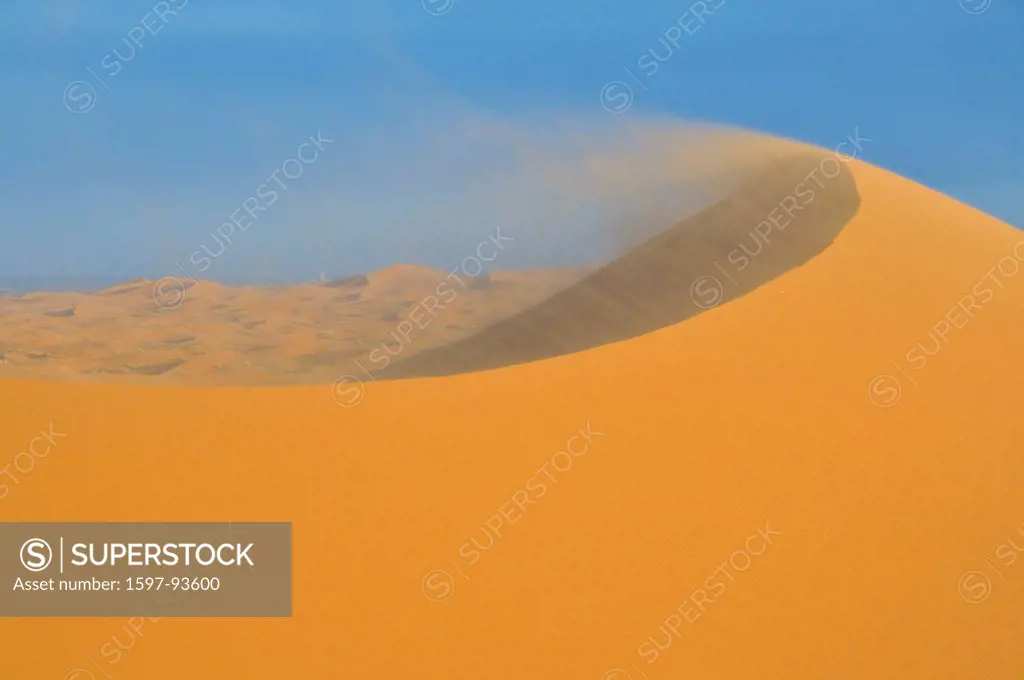 Africa, Morocco, Maghreb, North Africa, sand dunes, erg Chebbi, desert, dunes, Sahara, sand, nature, scenery, vegetation, grass