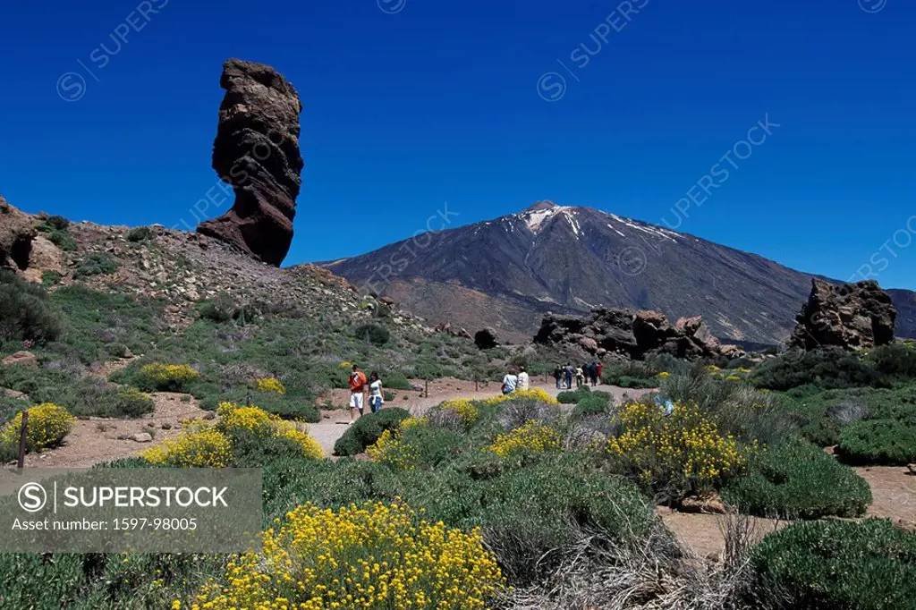 Spain, Europe, Tenerife island, Pico del Teide, Canaries, Europe, Africa, Canary Islands, Los Roques, island, couple,