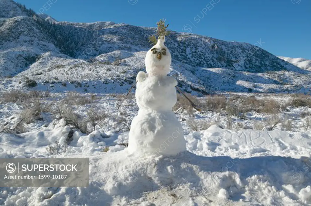 Snowman in fresh snowfall along Highway 33 north of Ojai, California
