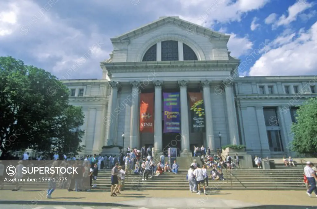 National Museum of Natural History - Smithsonian Institution, Washington, DC