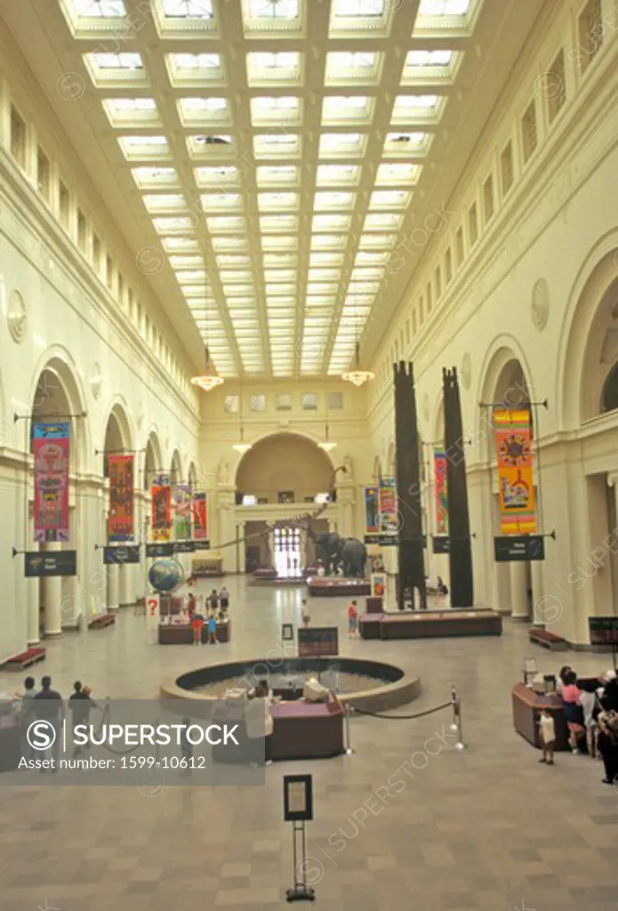 Interior of Field Museum of Natural History, Chicago, Illinois