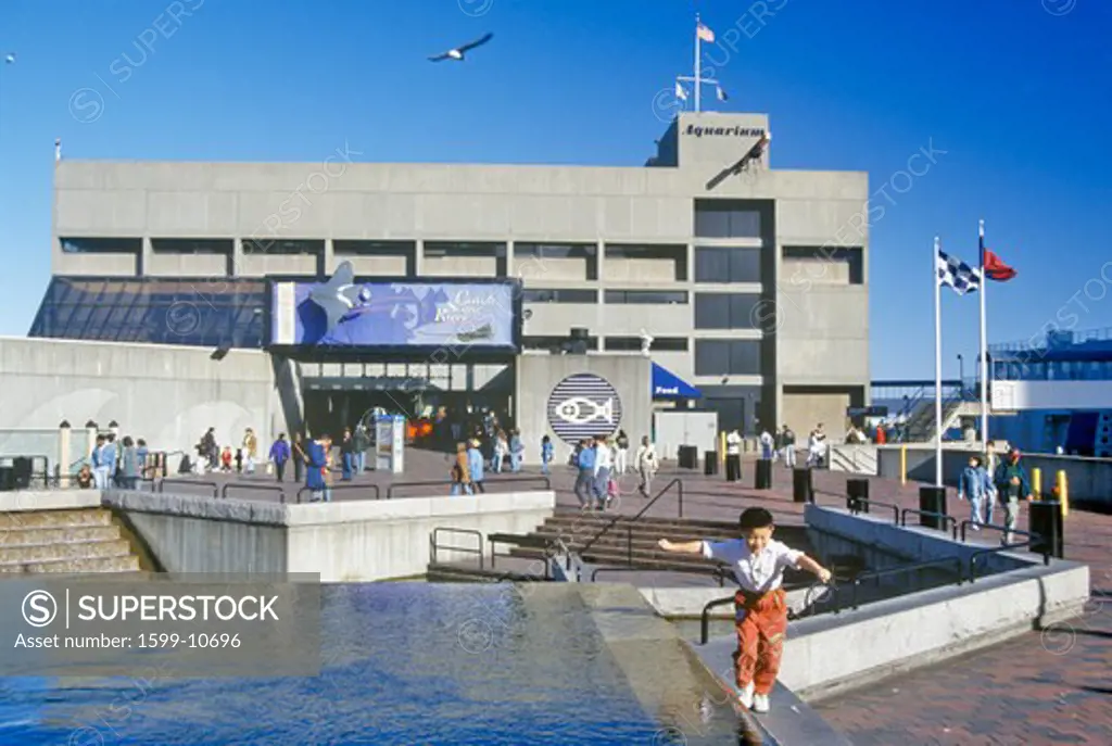 New England Aquarium, Boston, Massachusetts