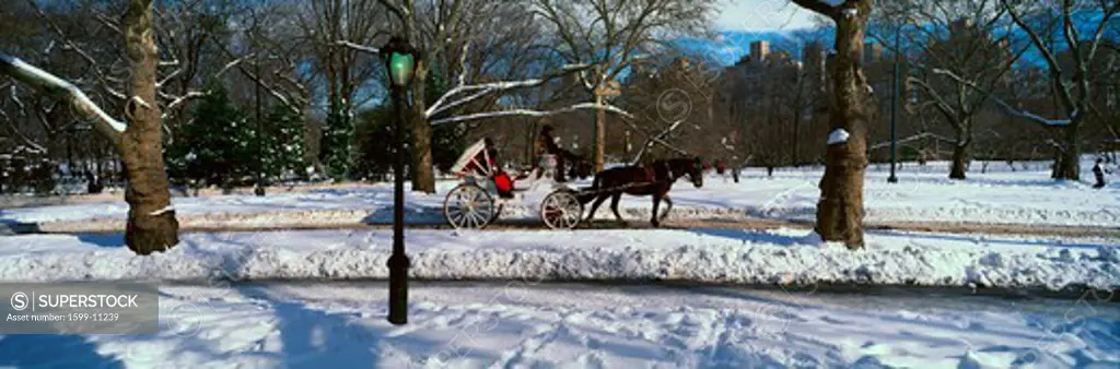 Panoramic view of snowy city street lamps, horse and carriage in Central Park, Manhattan, New York City, NY on a sunny winter day