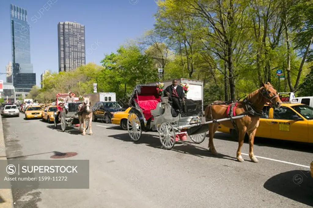 Horse and carriage drives in traffic down Central Park West in Manhattan, New York City, NY