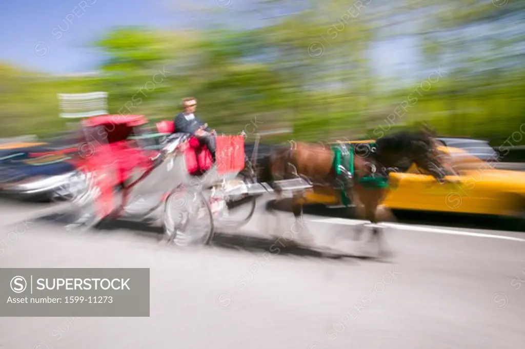 Horse and carriage drives in traffic down Central Park West in Manhattan, New York City, NY