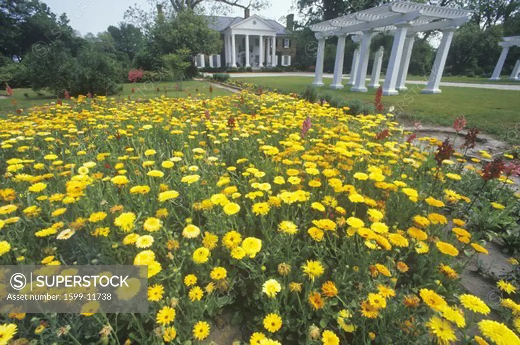 Home and gardens of the Boone Hall Plantation, Charleston, SC