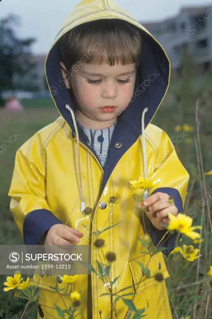 A boy  exploring the wildflowers on a rainy day, Washington, D.C.