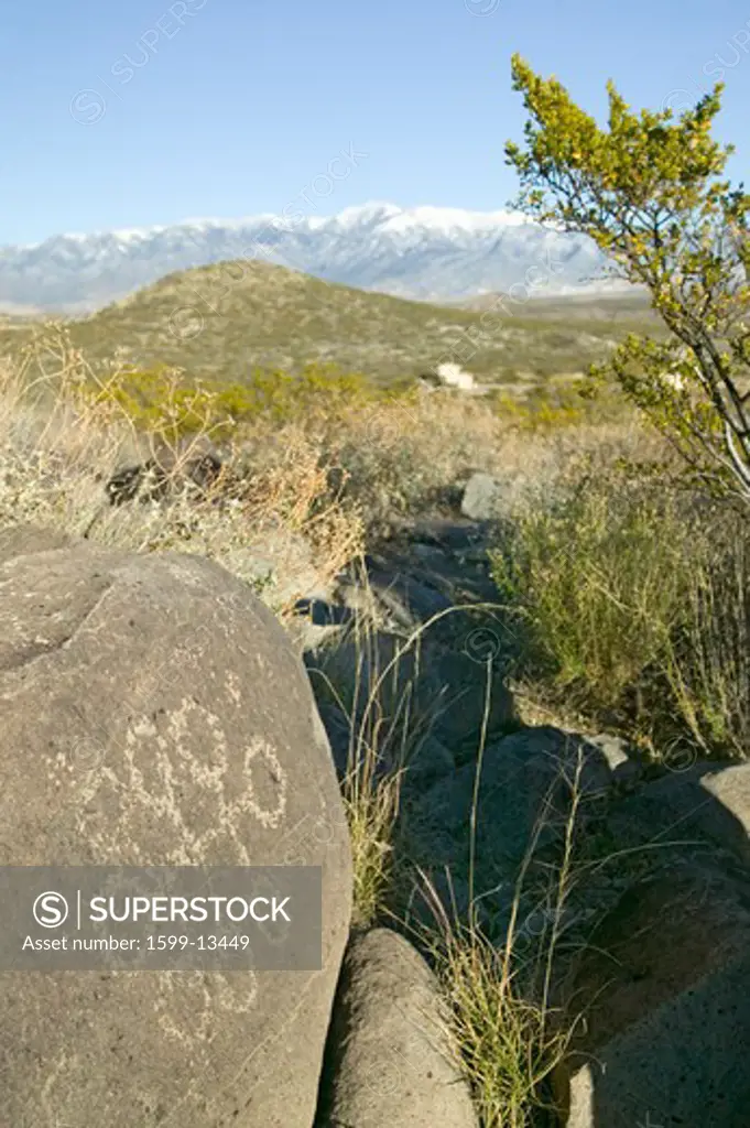 Three Rivers Petroglyph National Site, a (BLM) Bureau of Land Management Site, features more than 21,000 Native American Indian petroglyphs and examples of prehistoric Jornada Mogollon rock art, off Route 54, South of Carrizozo, New Mexico