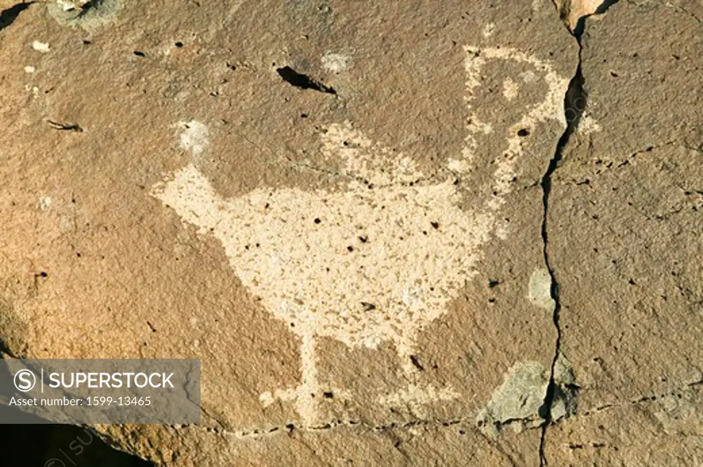Native American petroglyphs featuring an image of a bird at Petroglyph National Monument, outside Albuquerque, New Mexico