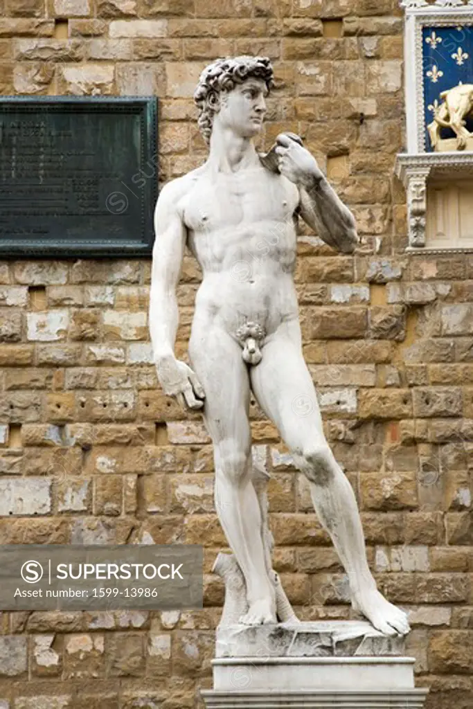 Statue replica of David by Michelangelo di Lodovico Buonarroti Simoni, Florence, Italy