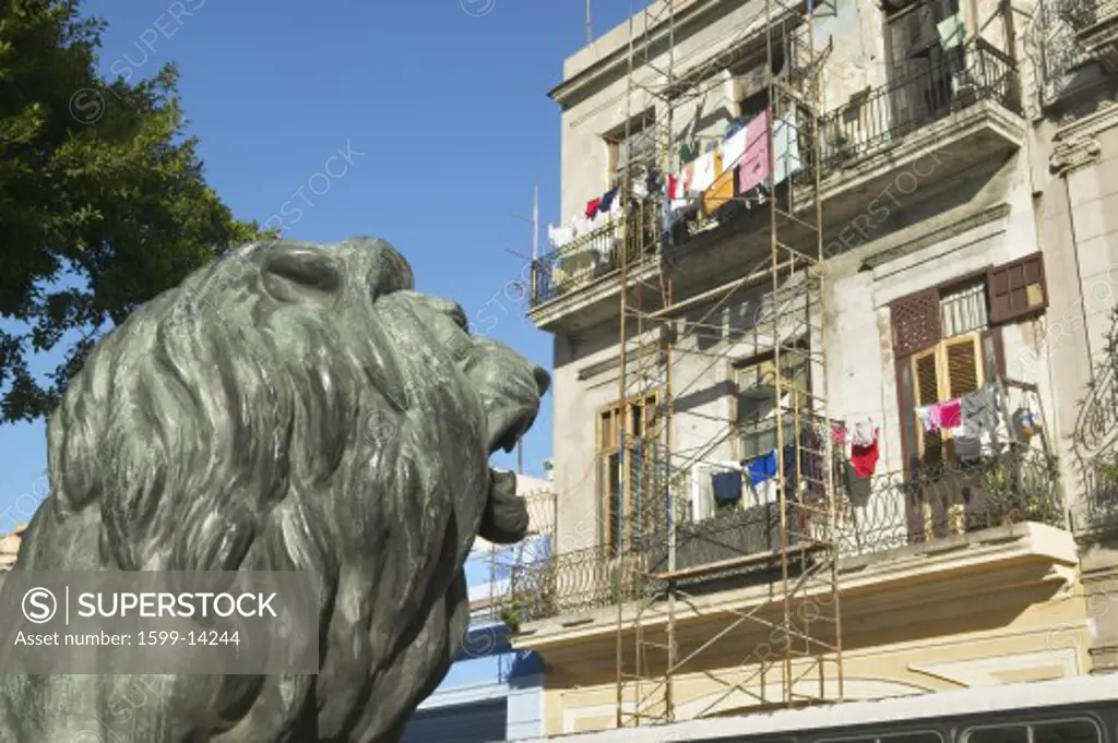 Lion statue looking at old buildings with laundry in Old Havana, Cuba