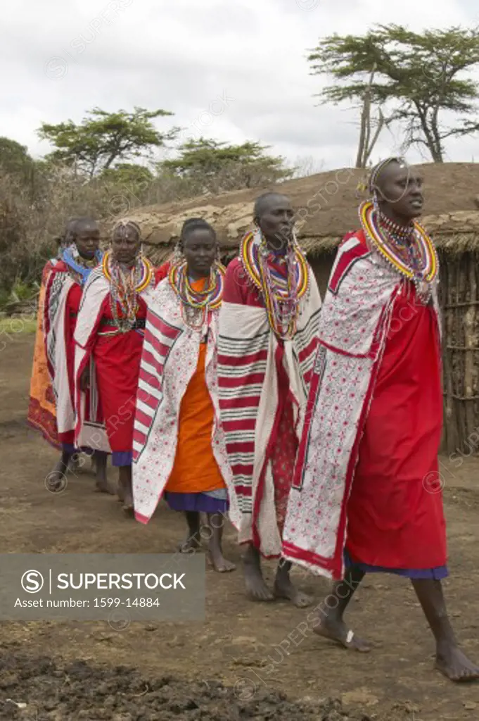Masai females in robes singing in village near Tsavo National Park, Kenya, Africa