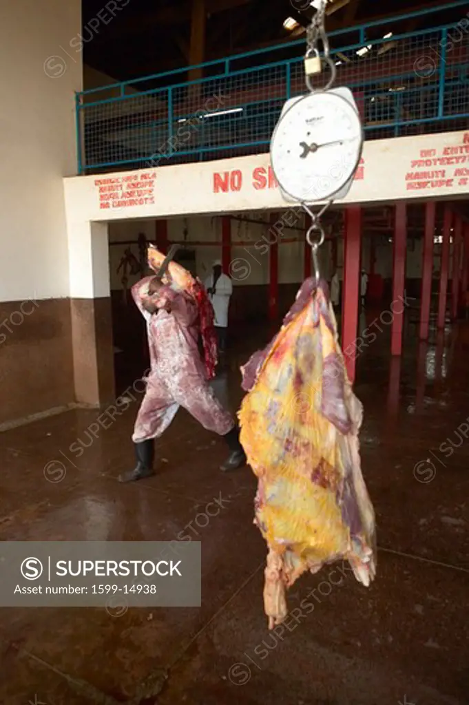 Cow carcass on scale being weighed at Nyongara slaughterhouse in Nairobi, Kenya, Africa
