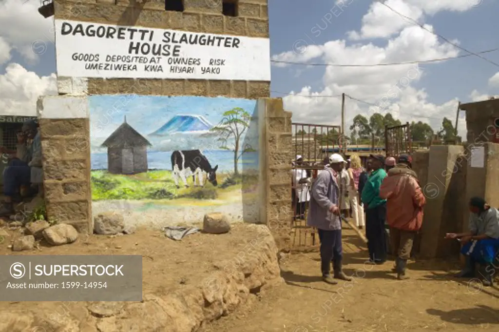 Dagoretti slaughterhouse in Nairobi, Kenya, Africa a holding tank for cows and goats to be killed in slaughterhouse