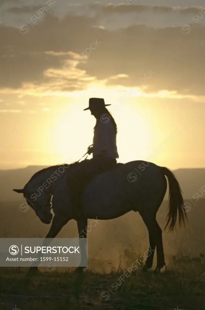 Female horseback rider and horse ride to overlook at Lewa Wildlife Conservancy in North Kenya, Africa at sunset