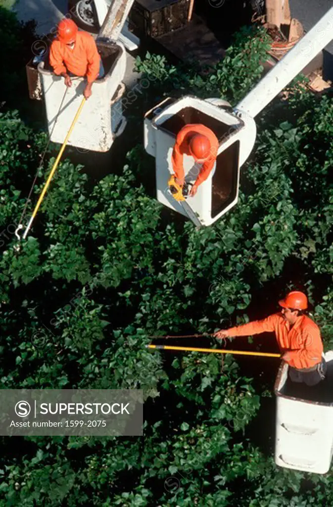 Three tree trimmers in cherry pickers at Los Angeles International Airport