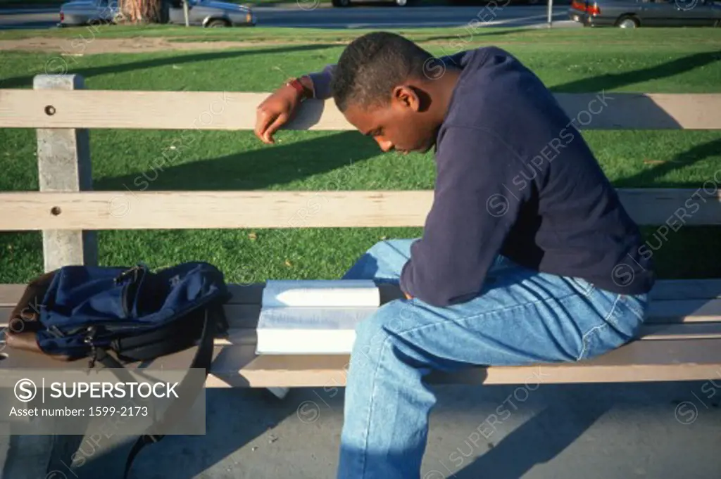 Male African American student studying on a bench, Santa Monica, California