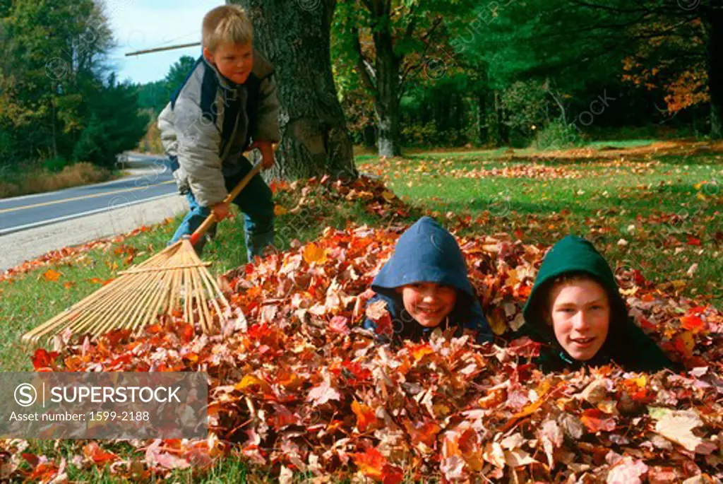 Boy raking autumn leaves, New Hampshire