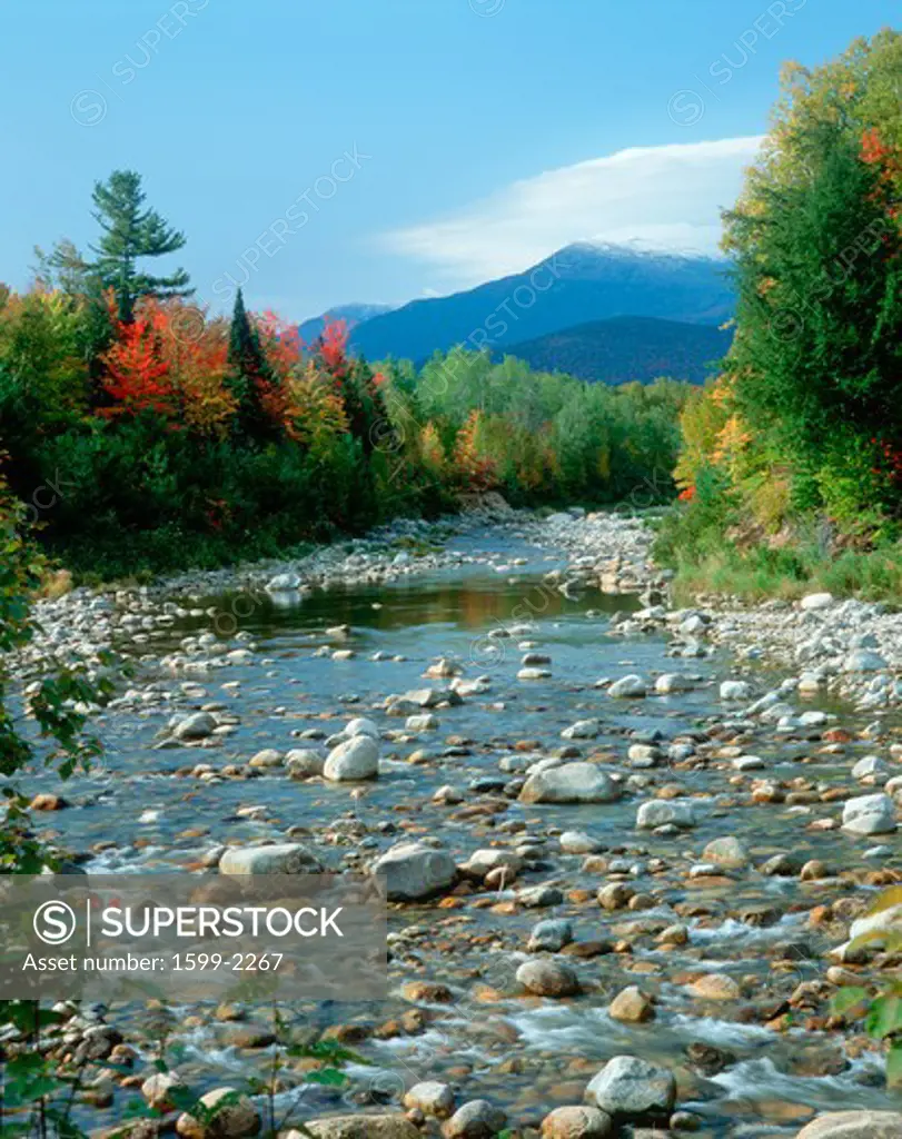 Creek with Mt. Washington in background in autumn, New Hampshire
