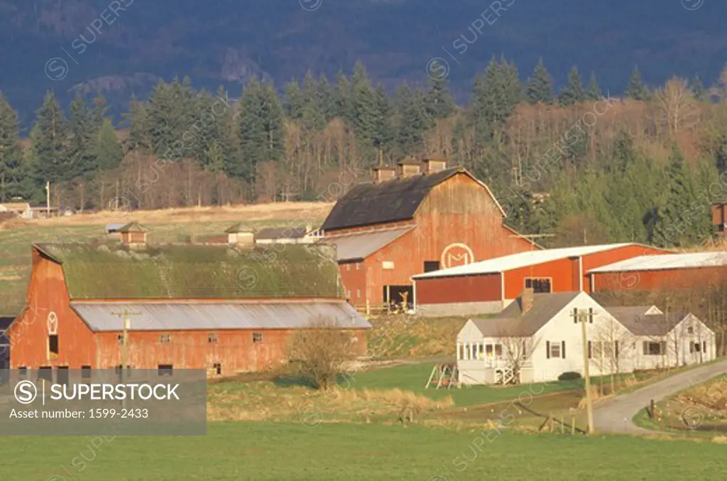 A farm in Northeast WA with trees and mountains in the background