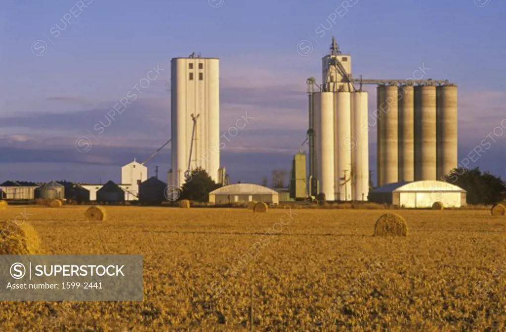 Late afternoon view of grain silos in hay field, Kansas
