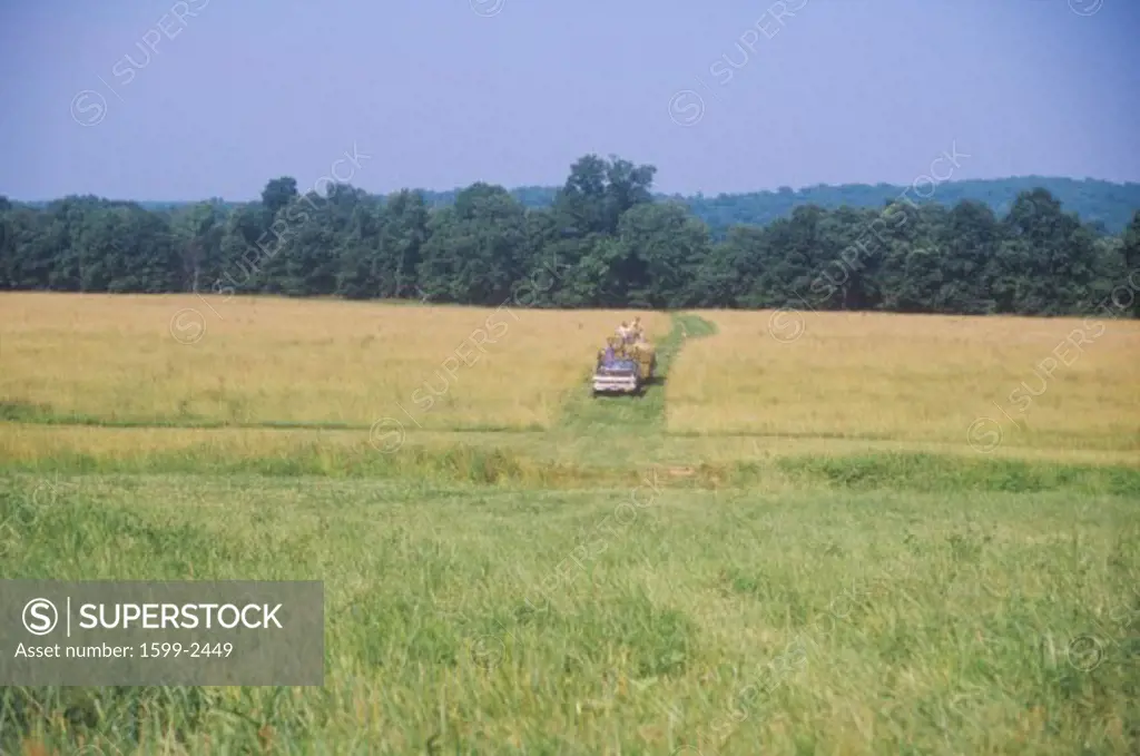 Farm machinery mowing in field
