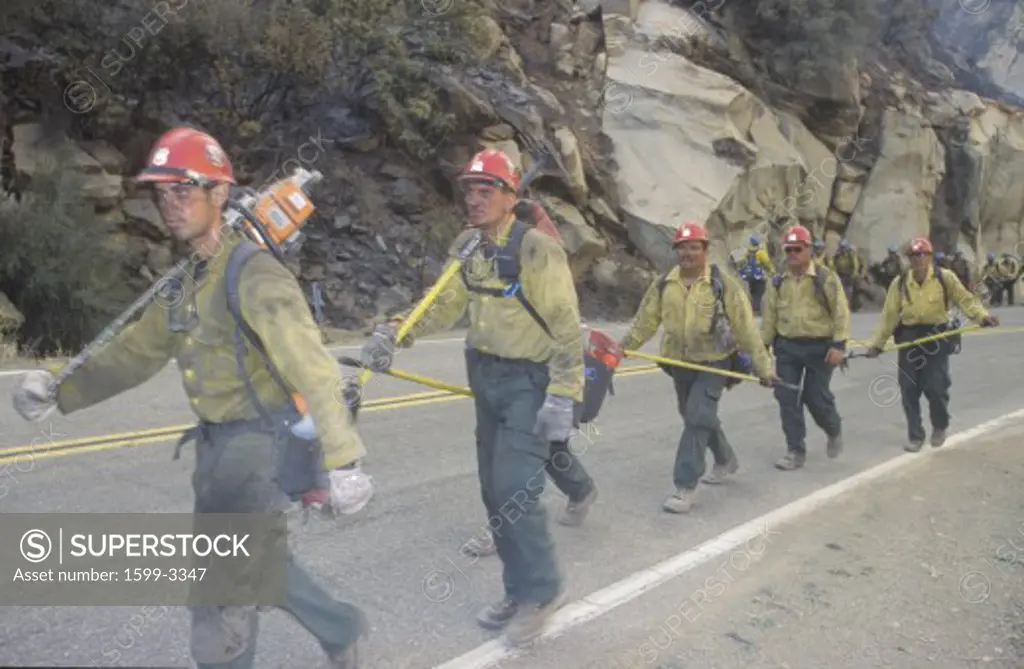 Fire fighting crew carrying equipment, Los Angeles Padres National Forest, California
