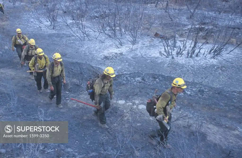 Fire fighters crossing charred terrain, Los Angeles Padres National Forest, California