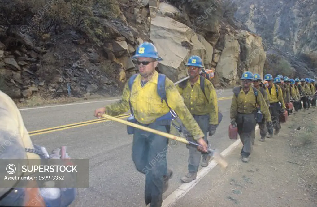Fire fighting crew carrying equipment, Los Angeles Padres National Forest, California