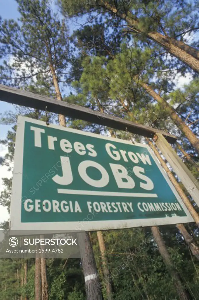 Sign reads Trees grow jobs
