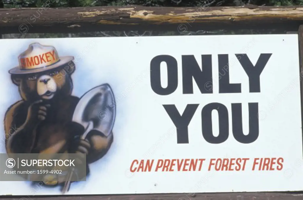 A sign that reads Only you can prevent forest fires”