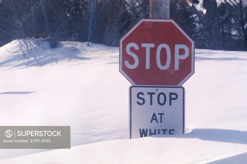 A sign that reads Stop, stop at white line”