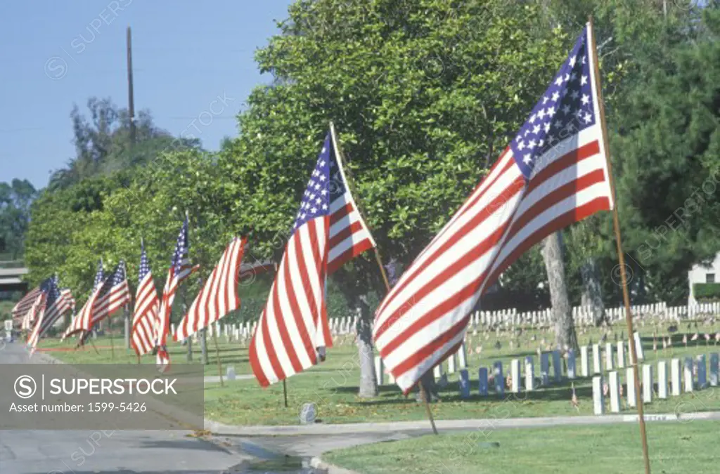 American Flags, Los Angeles National Cemetery, California