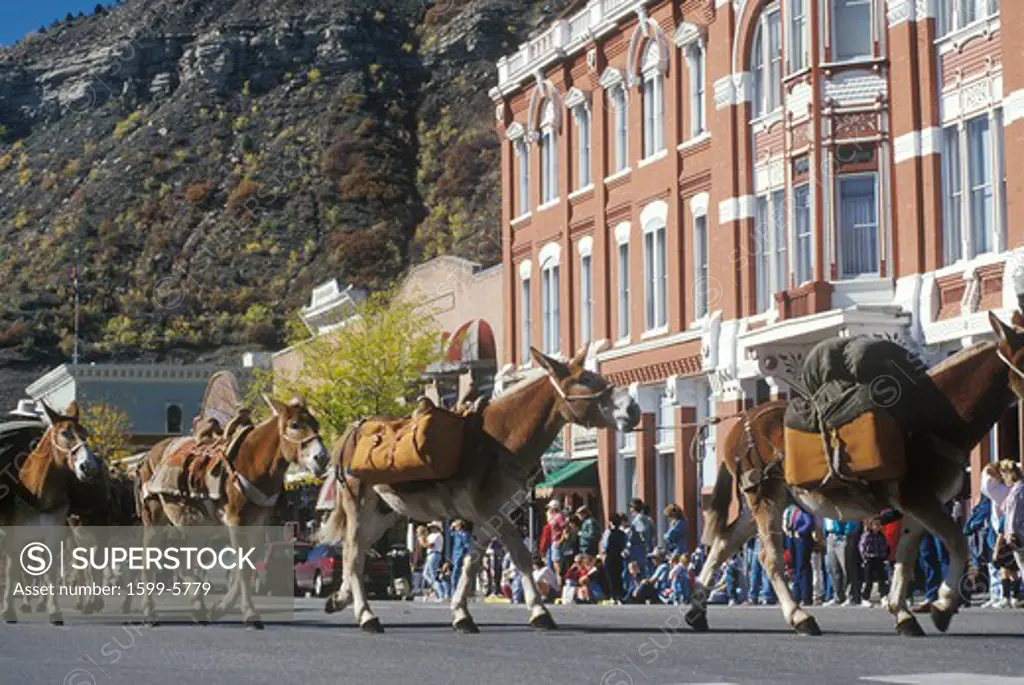 Cowboy Days parade in Durango, CO