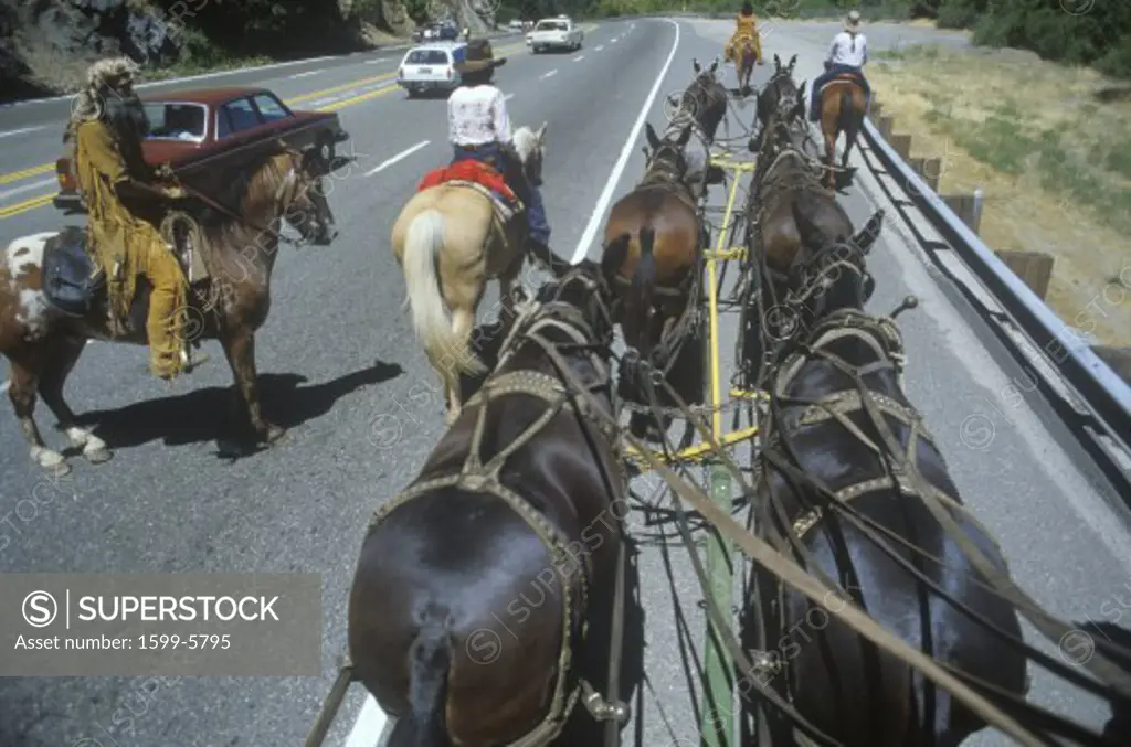 View of team of horses in wagon train during reenactment near Sacramento, CA