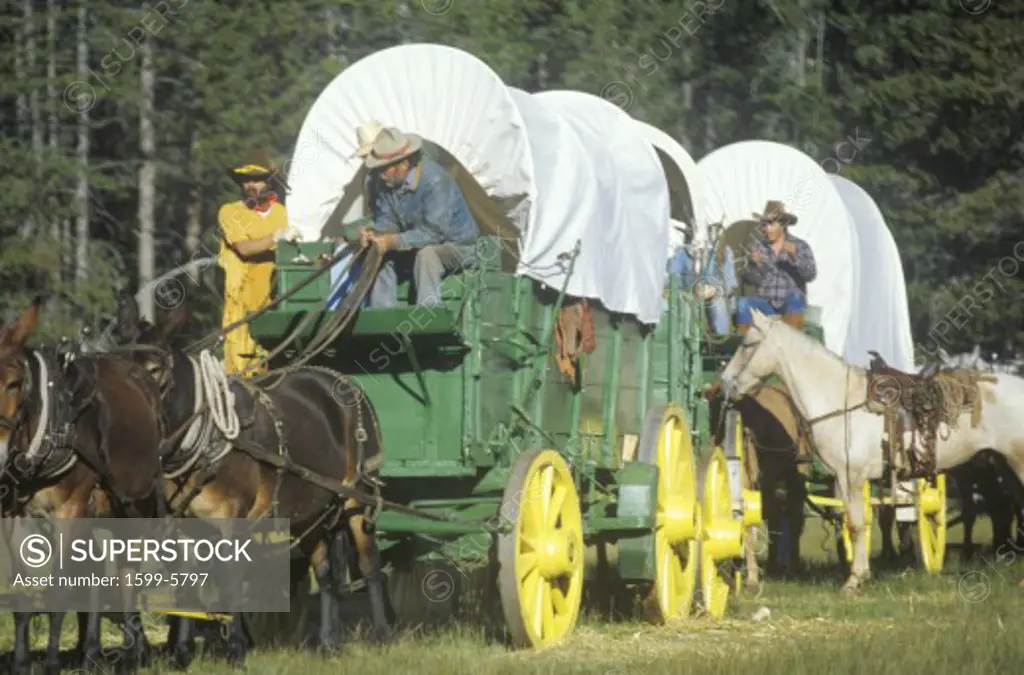 Living History participants in wagon train near Sacramento, CA