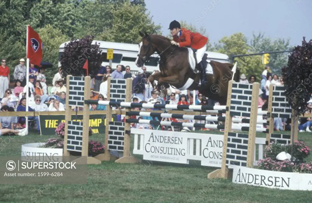 Horse and rider clearing hurdle in American Café Grand Prix, Howard Community College, Columbia, Maryland