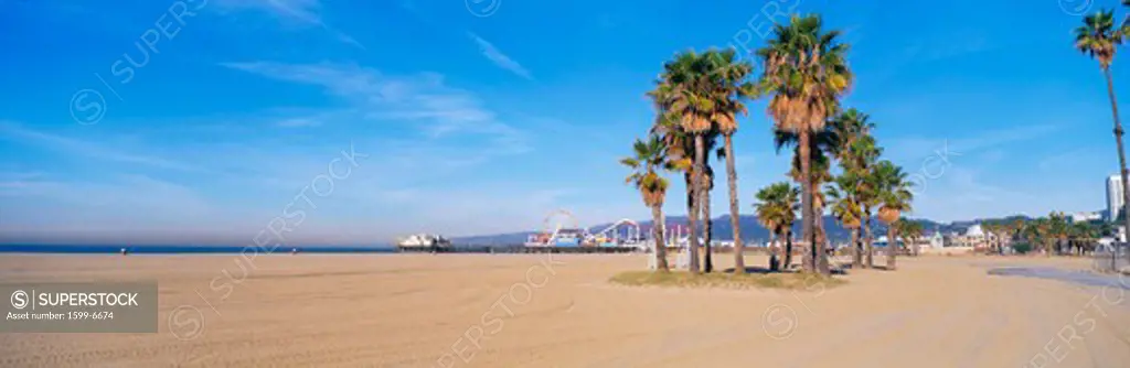 This is the Santa Monica Beach and pier with its amusement park. There are palm trees in the foreground.