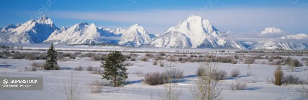 This is winter in Grand Teton National Park. The Mountain peaks left to right in the photo are Teewinot Mountain, Grand Teton, Mt. Owen, Mt. St. John, Rockchuck Peak, Mt. Woodring, and Mt. Moran. Mt. Moran is the large mountain just right of center. There is snow on the ground and the trees look sparse under a blue sky.