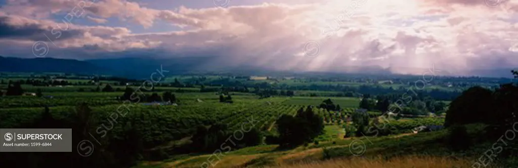 This is near the Hood River. It is a green valley with houses and farms scattered throughout. The sun is projecting god rays down over the valley through the white clouds.