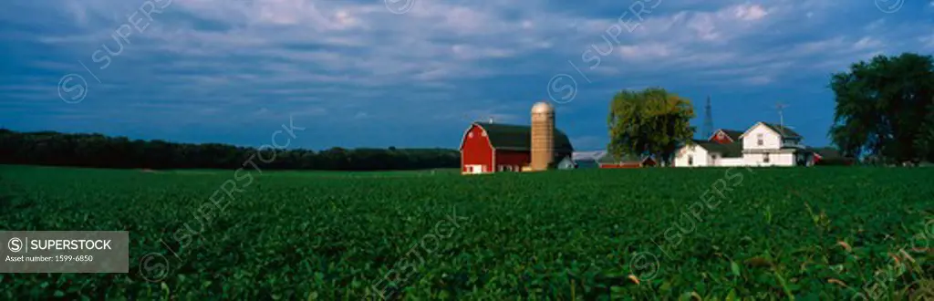 This is a farm with a silo and barn. Directly behind it sits a white farmhouse. It sits in the middle of a green farm field.