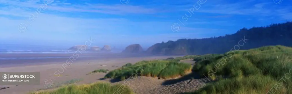 This is the sand and rocky beach along the Oregon coast. There is a slight mist along the beach and patchy areas of grass growing along the beach as well.