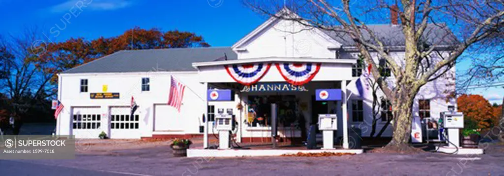 This is Hanna's General Store which is also a gas station. It is a white building, flying red, white and blue banners from its facade. It is a typical small town store that sells general goods. There are two large trees on the right hand side.