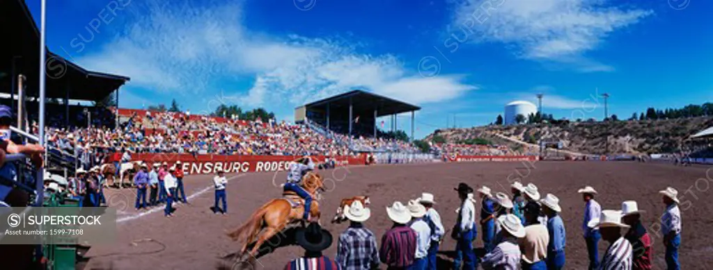 This is the 75th Ellensburg Rodeo that took place on Labor Day, 1997. The Rodeo has taken place from 1923 to the present. It shows a rider on horseback with a lasso riding into the rink after a steer.
