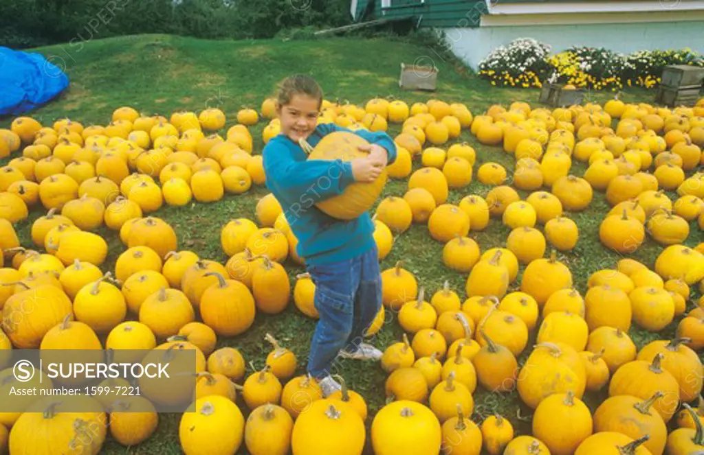 Little Girl in Pumpkin Patch, New England