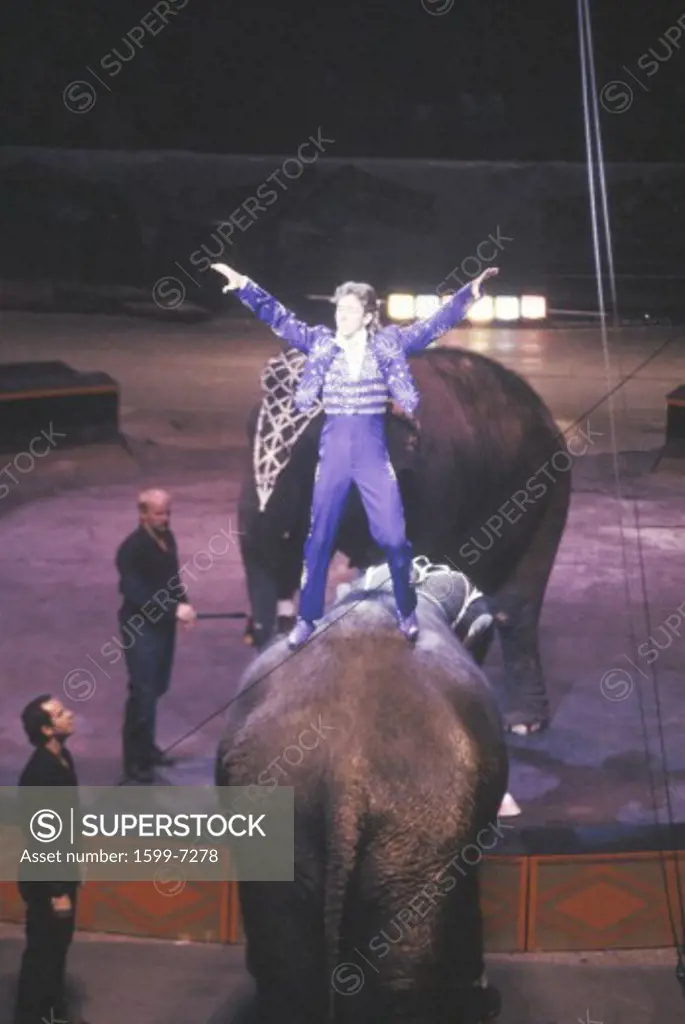 Performer Standing on Elephant, Ringling Brothers & Barnum & Bailey Circus