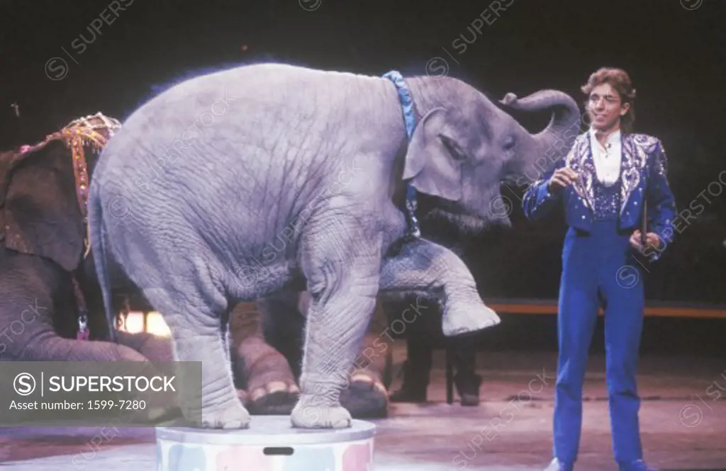 Baby Elephant and Performer, Ringling Brothers & Barnum & Bailey Circus