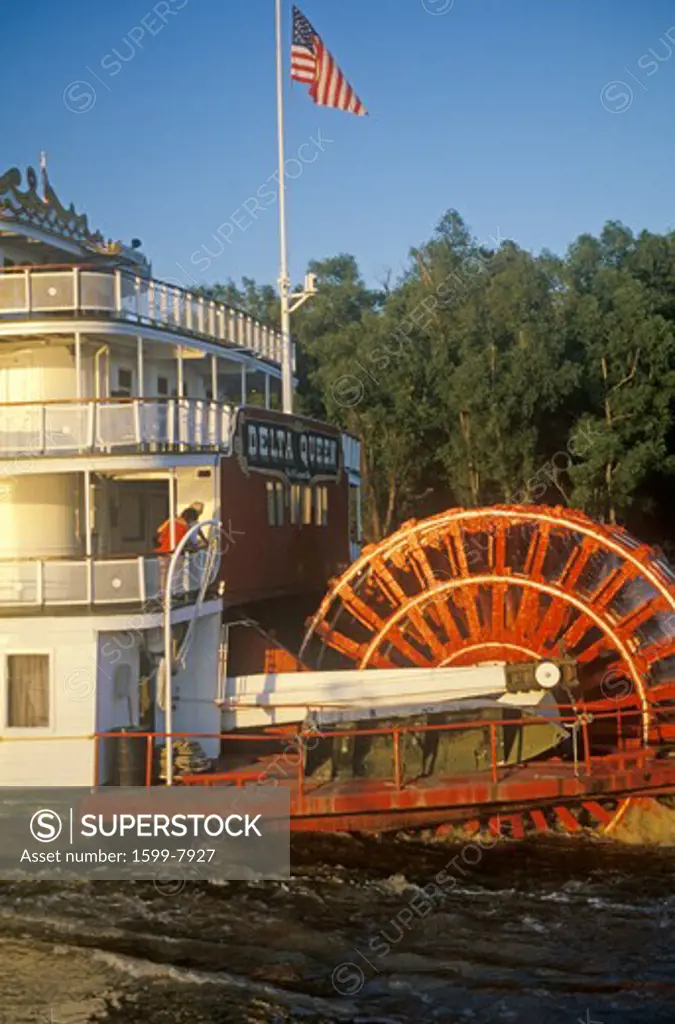 The Delta Queen, a relic of the steamboat era of the 19th century, still rolls down the Mississippi River