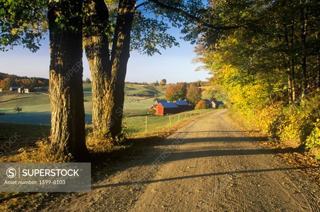 A dirt road leading to Jenne Farm in Vermont
