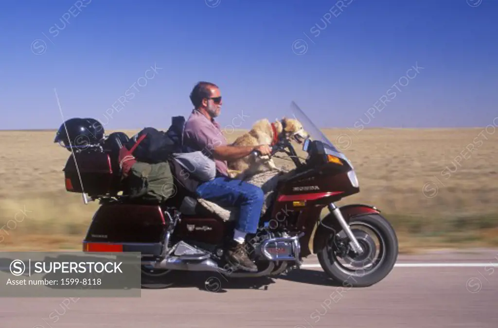 A motorcyclist with his dog cruising on the Interstate Highway in South Dakota